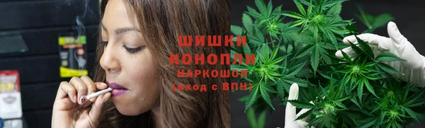 сатива Армянск