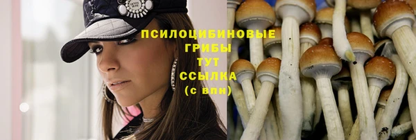 ПСИЛОЦИБИНОВЫЕ ГРИБЫ Аркадак