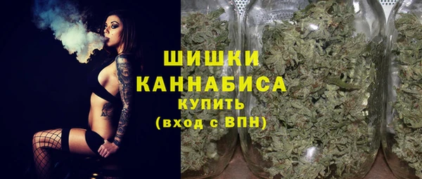 ПСИЛОЦИБИНОВЫЕ ГРИБЫ Аркадак