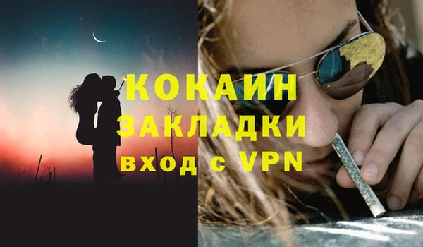 ПСИЛОЦИБИНОВЫЕ ГРИБЫ Аркадак