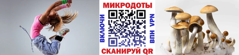 Псилоцибиновые грибы ЛСД  сколько стоит  Скопин 